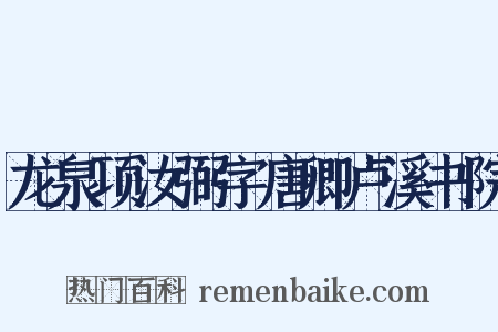 龙泉项汝弼字唐卿卢溪书院是什么意思的图片